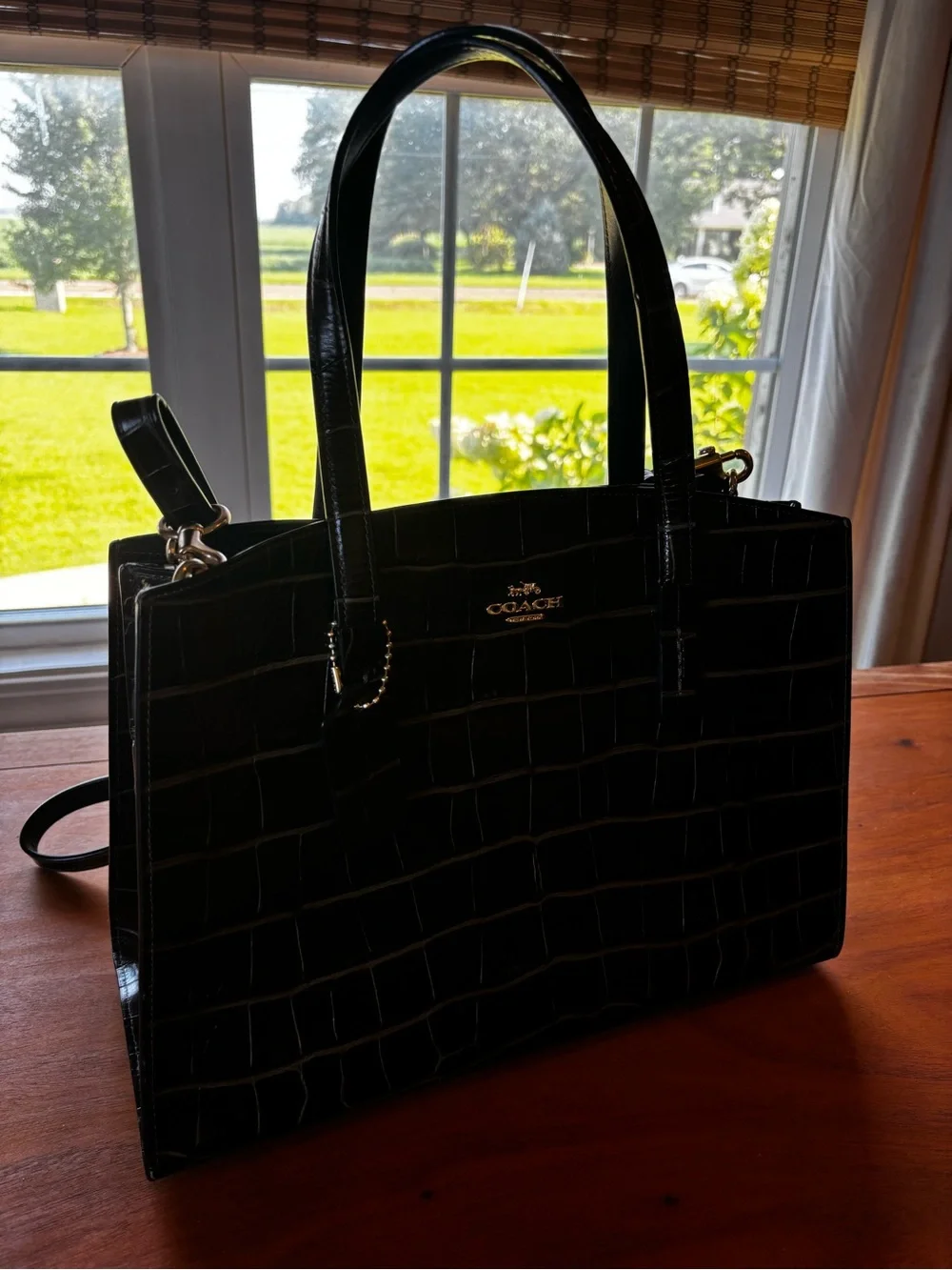 COACH Dark Brown NINA CARRYALL Croc-Embossed LEATHER Large Tote EUC